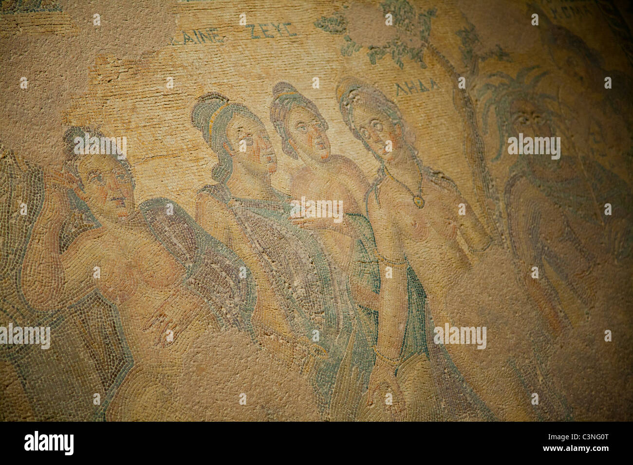 Mosaïque dans la chambre d'Aion, Paphos, Chypre Banque D'Images