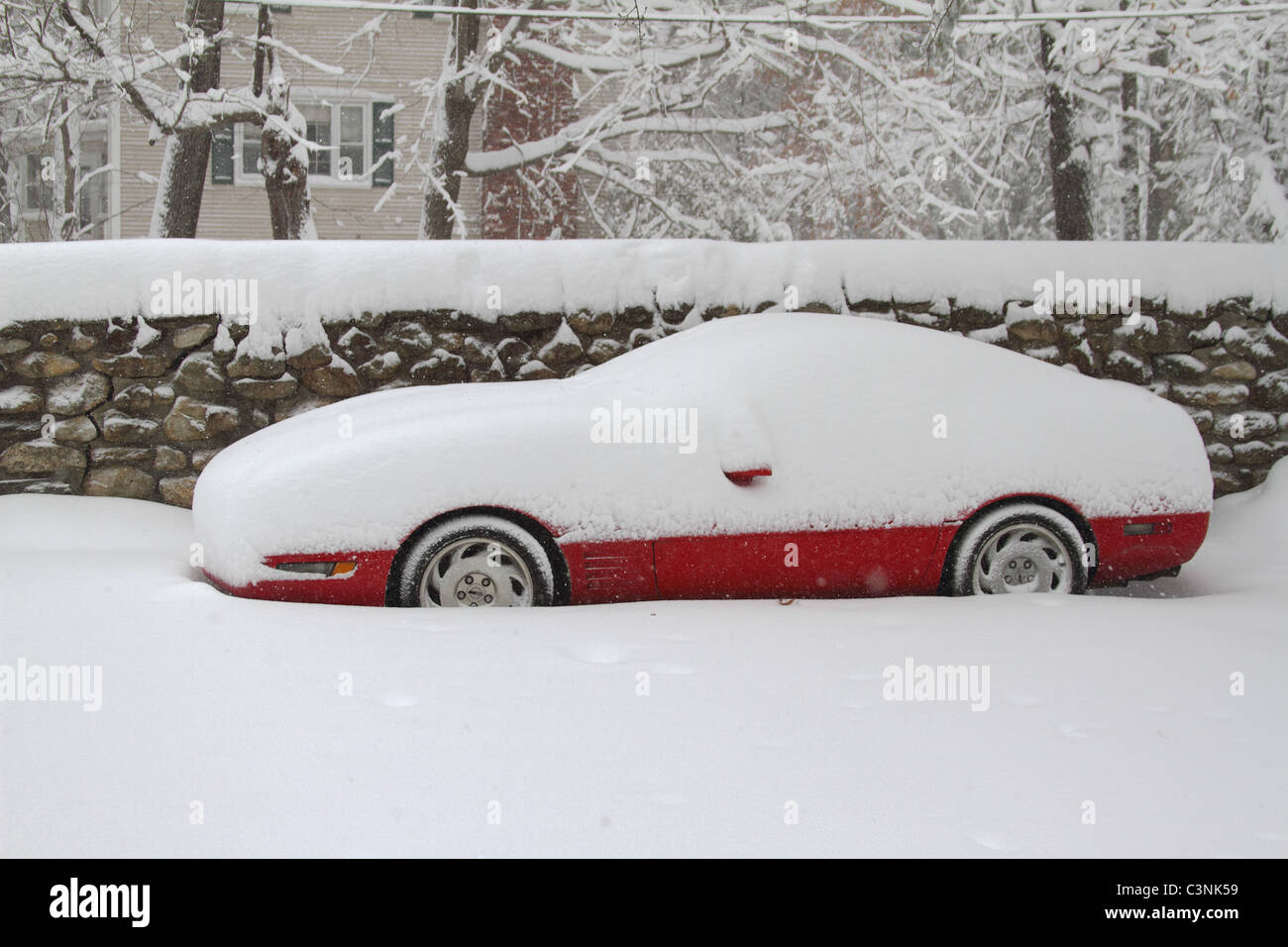 Corvette rouge est assis dans la neige, dans l'attente de l'apparition de la Nouvelle Angleterre printemps Banque D'Images