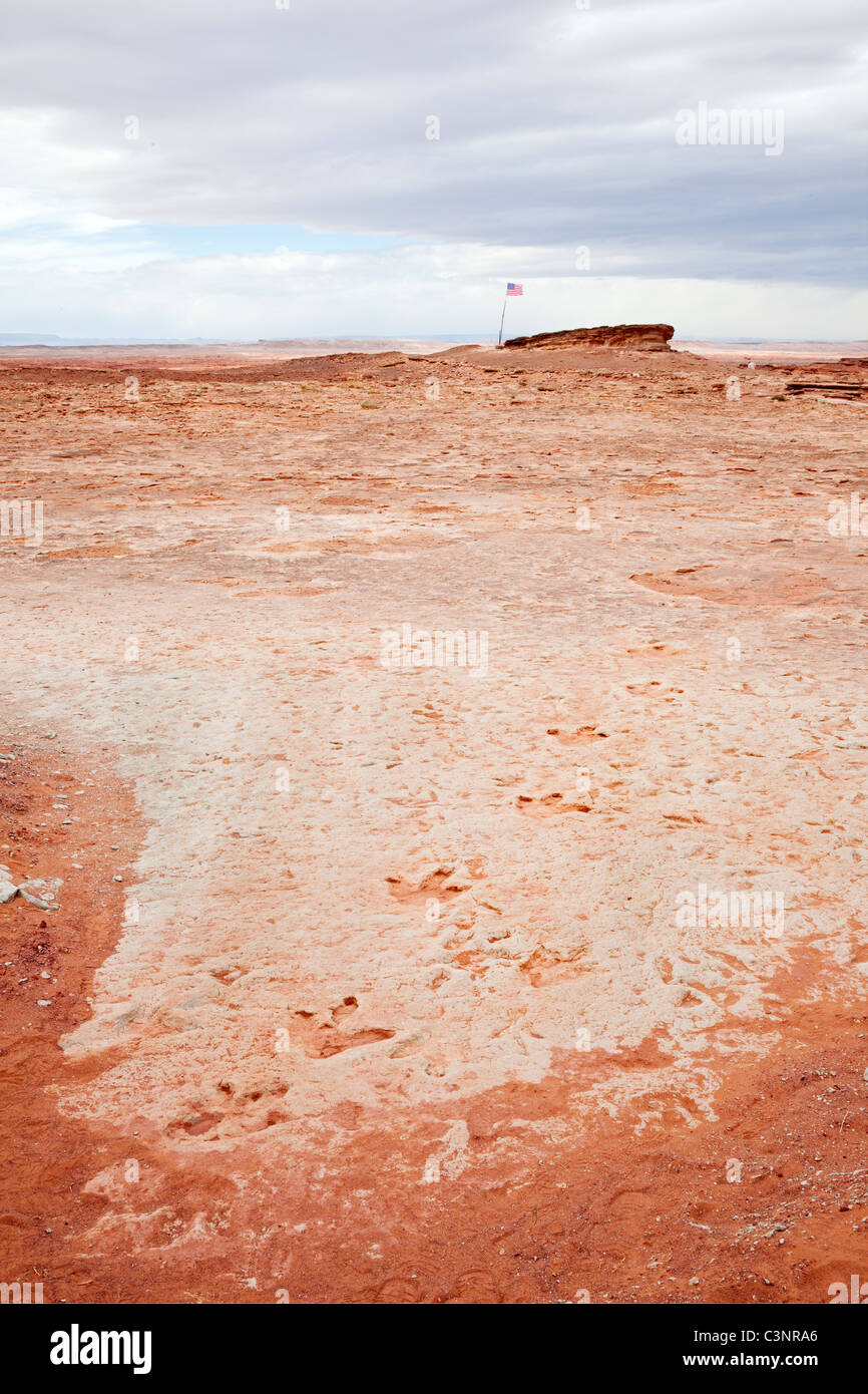 Empreintes de dinosaures près de Tuba City. Sur navajo land. À l'air libre et très accessible. Banque D'Images