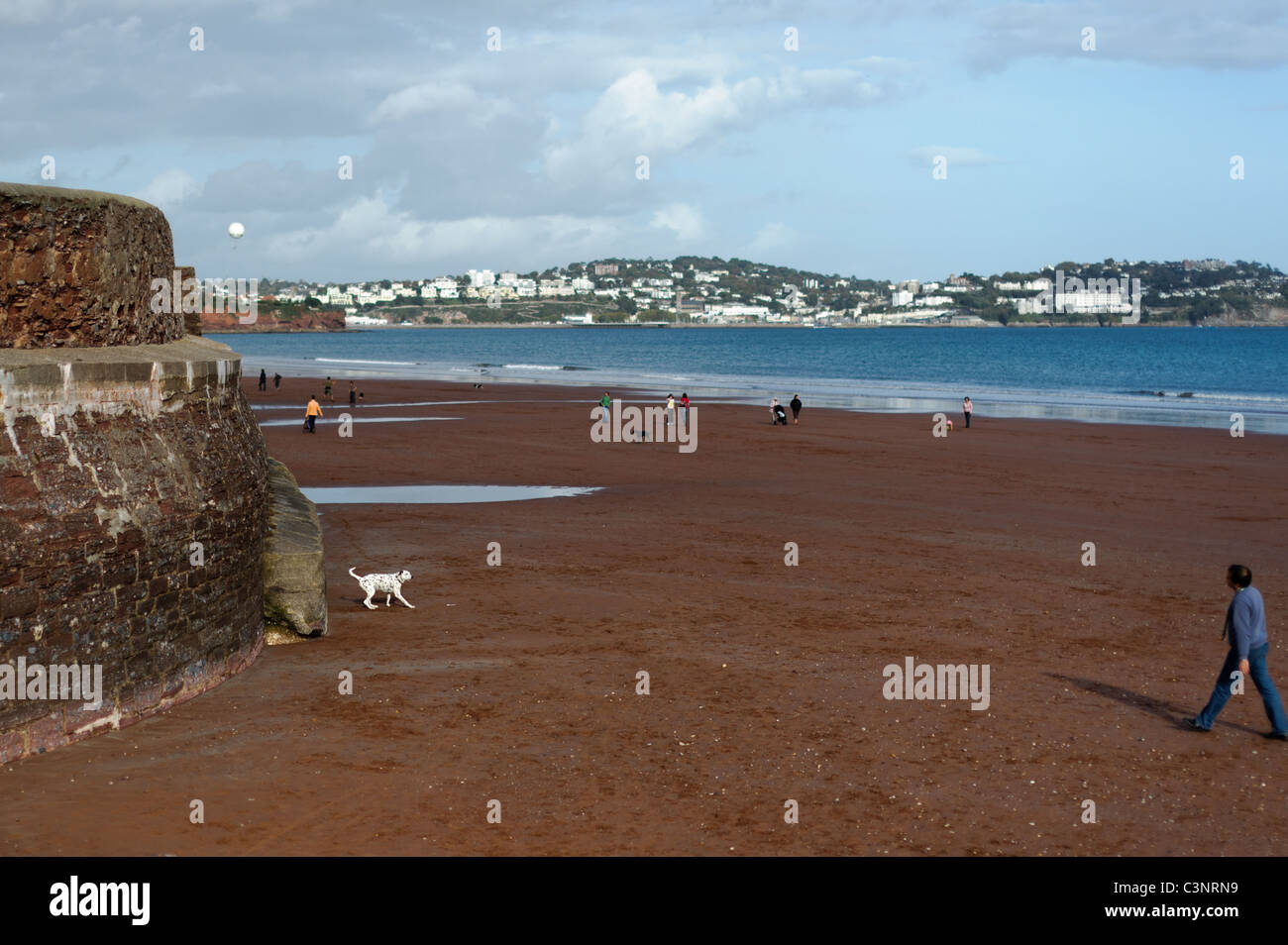 Les gens marcher les chiens sur la plage de Paignton Banque D'Images