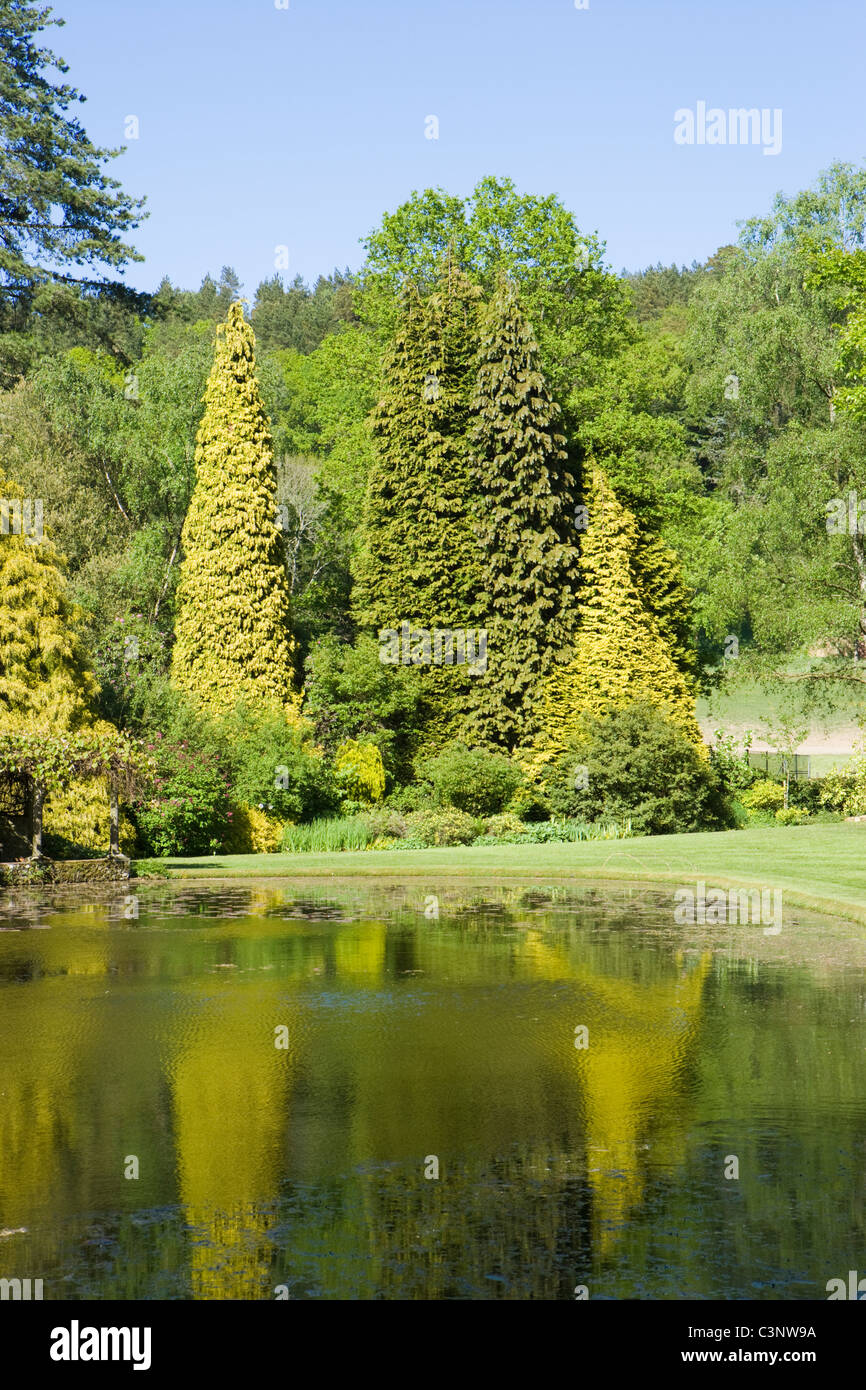 Lac à Coverwood ferme, Surrey, UK. Banque D'Images