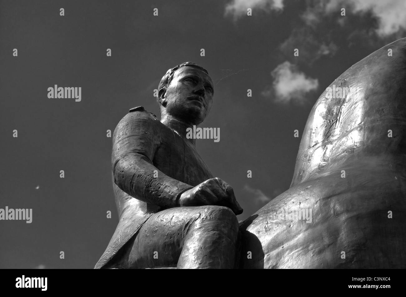 Statue du Roi Albert de Belgique sur son cheval Banque D'Images
