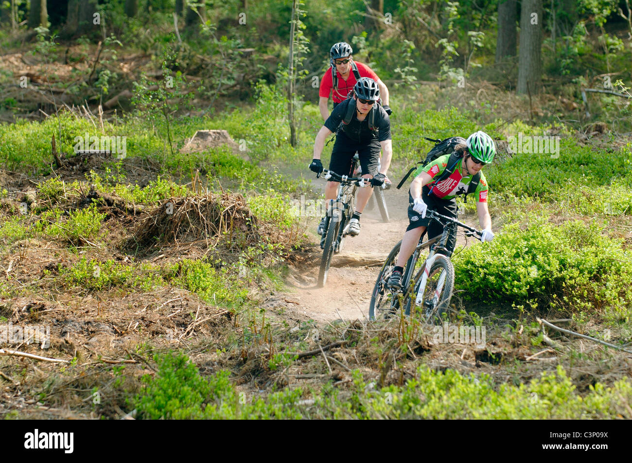 Vtt dans les North Downs à Surrey Banque D'Images