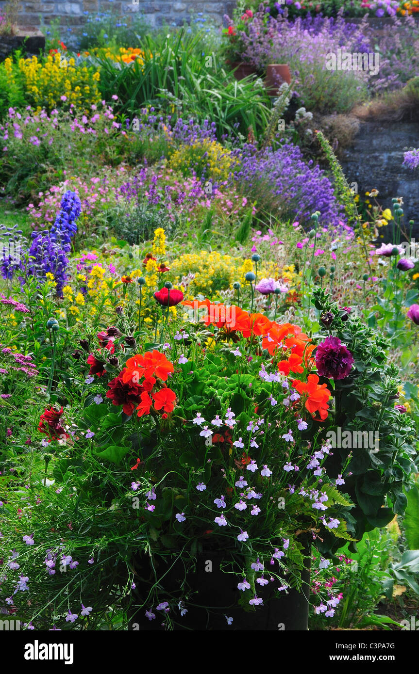Un Chalet jardin plein de fleurs et de couleurs dans le format portrait UK Banque D'Images