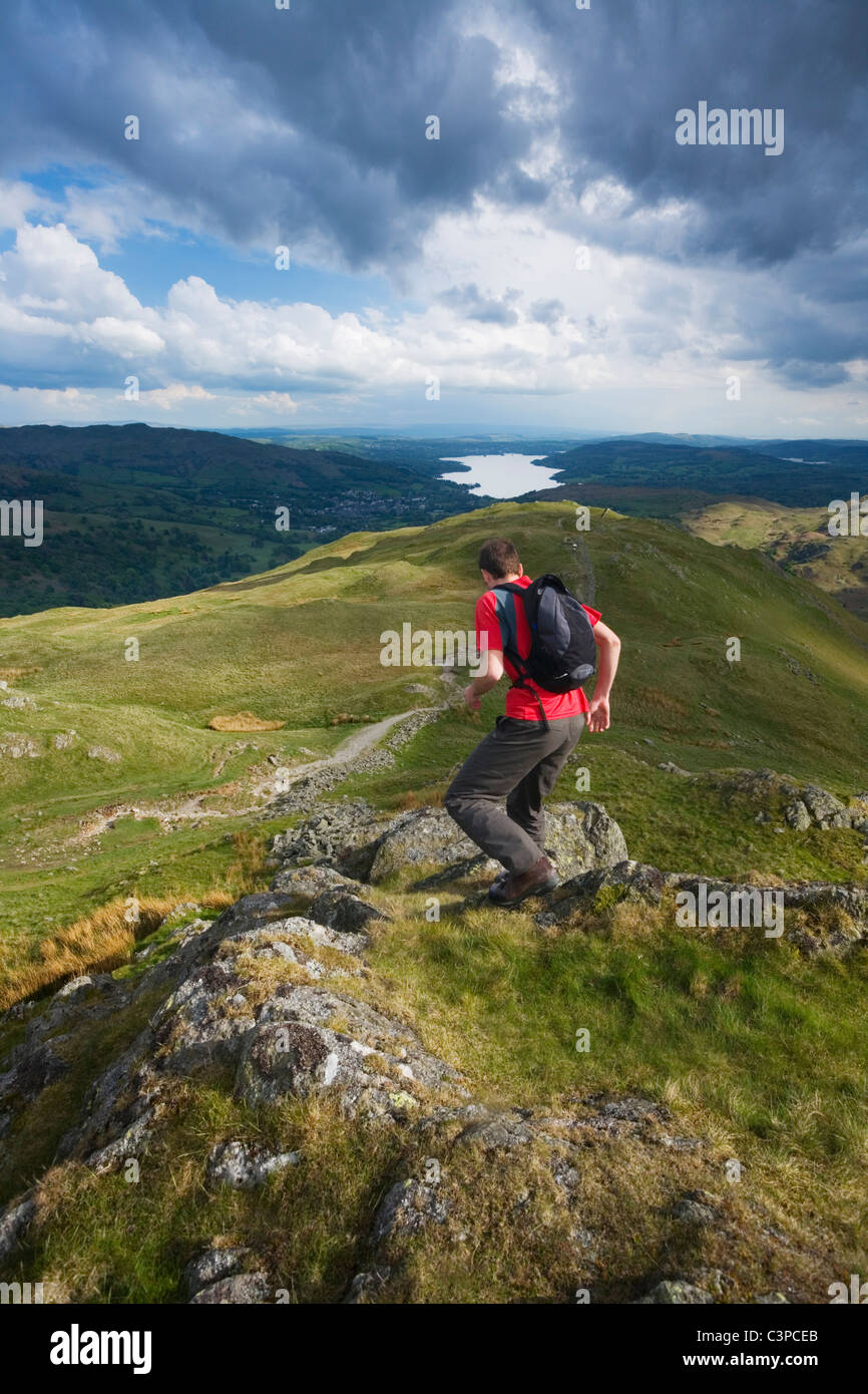 Homme de race blanche en ordre décroissant Heron brochets avec Windermere dans la distance. Parc National de Lake District. La région de Cumbria. L'Angleterre. UK. Banque D'Images