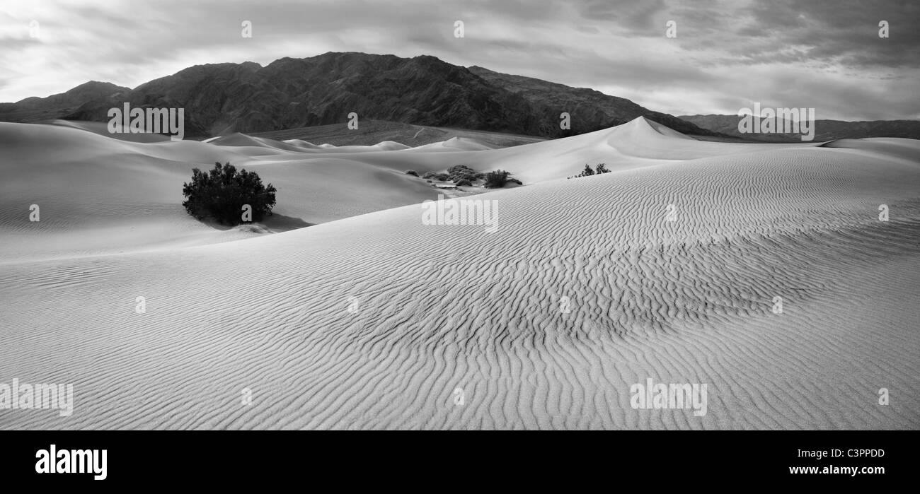 Dunes de sable et les ondes à Death Valley National Park, California, USA, noir et blanc Banque D'Images
