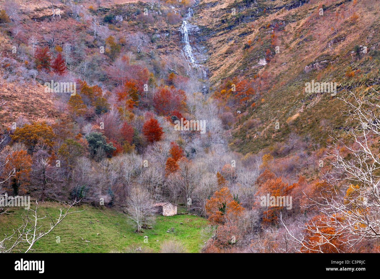 La vallée de la rivière Ason (Cantabria, ESPAGNE) Banque D'Images