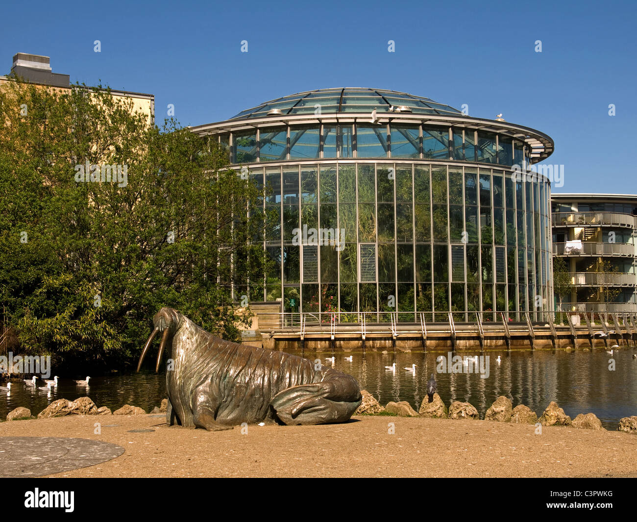 Jardins d'hiver et Mowbray Park Sunderland Tyne and Wear England UK Banque D'Images