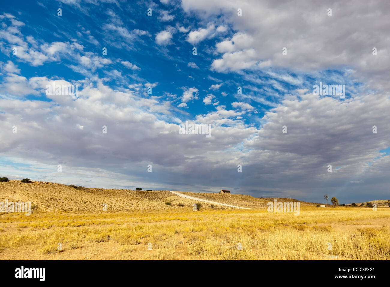 L'Afrique, Botswana, Afrique du Sud, Kalahari, vue de paysage de Parc transfrontalier de Kgalagadi Banque D'Images