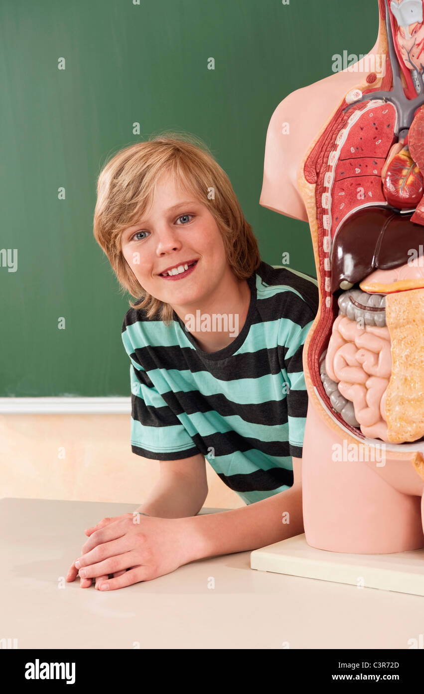 Allemagne, Emmering, Boy (12-13) avec les organes humains modèle, smiling, portrait Banque D'Images