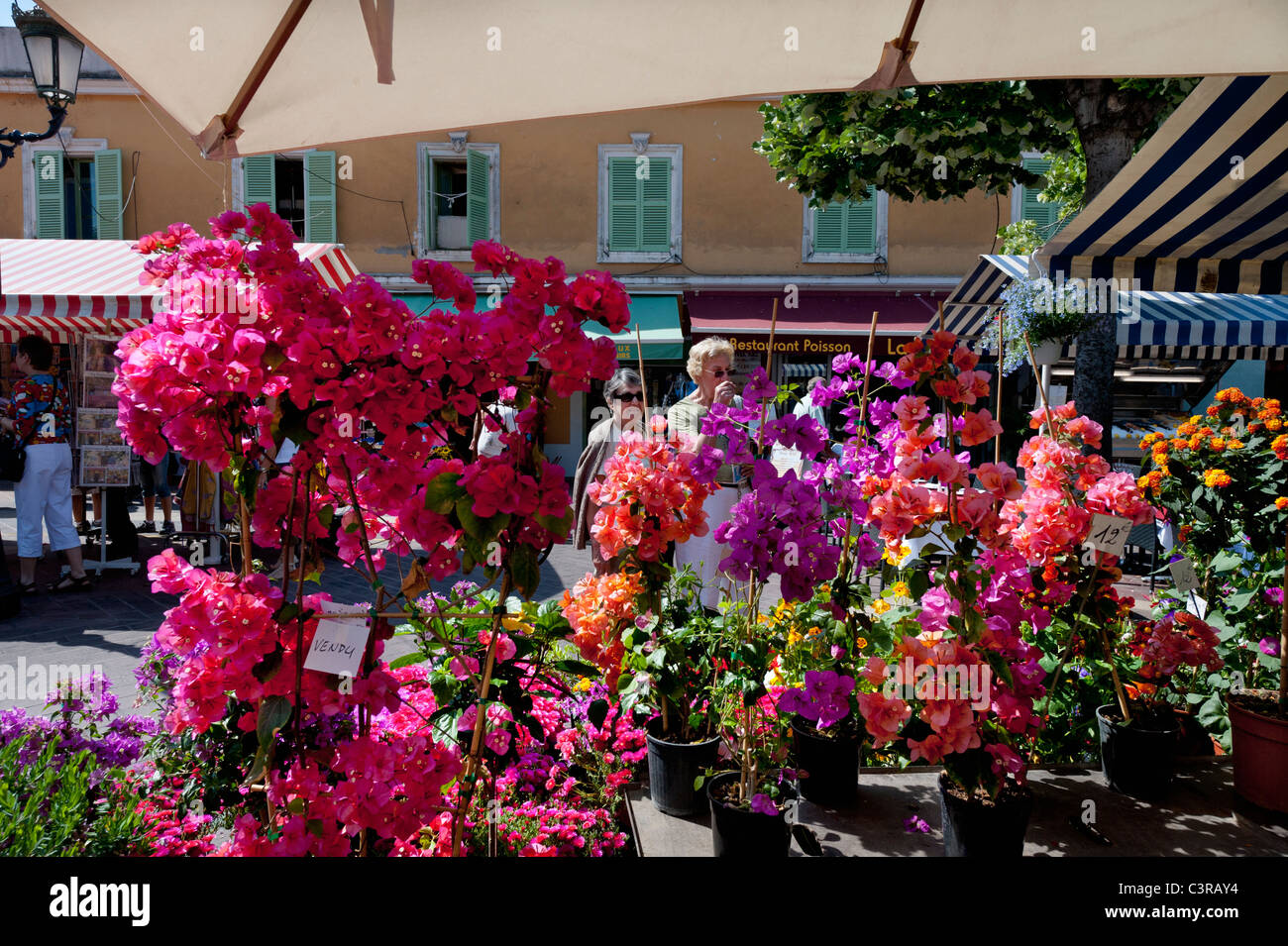 Marché aux fleurs cours saleya Banque de photographies et d’images à