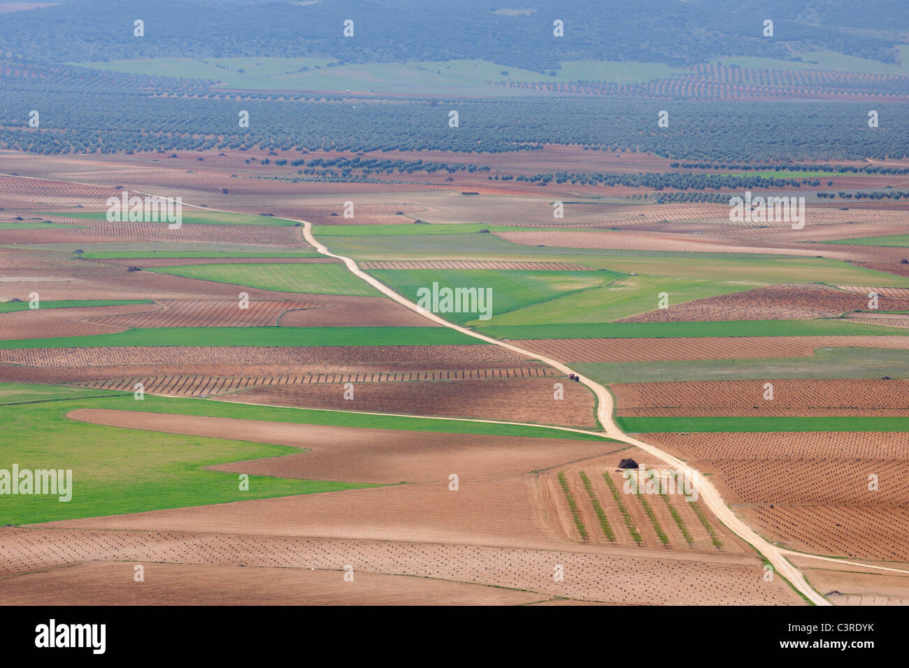 L'Espagne, Castilla-La Mancha, province de Tolède, Consuegra, vue sur chemin de terre à travers champs Banque D'Images