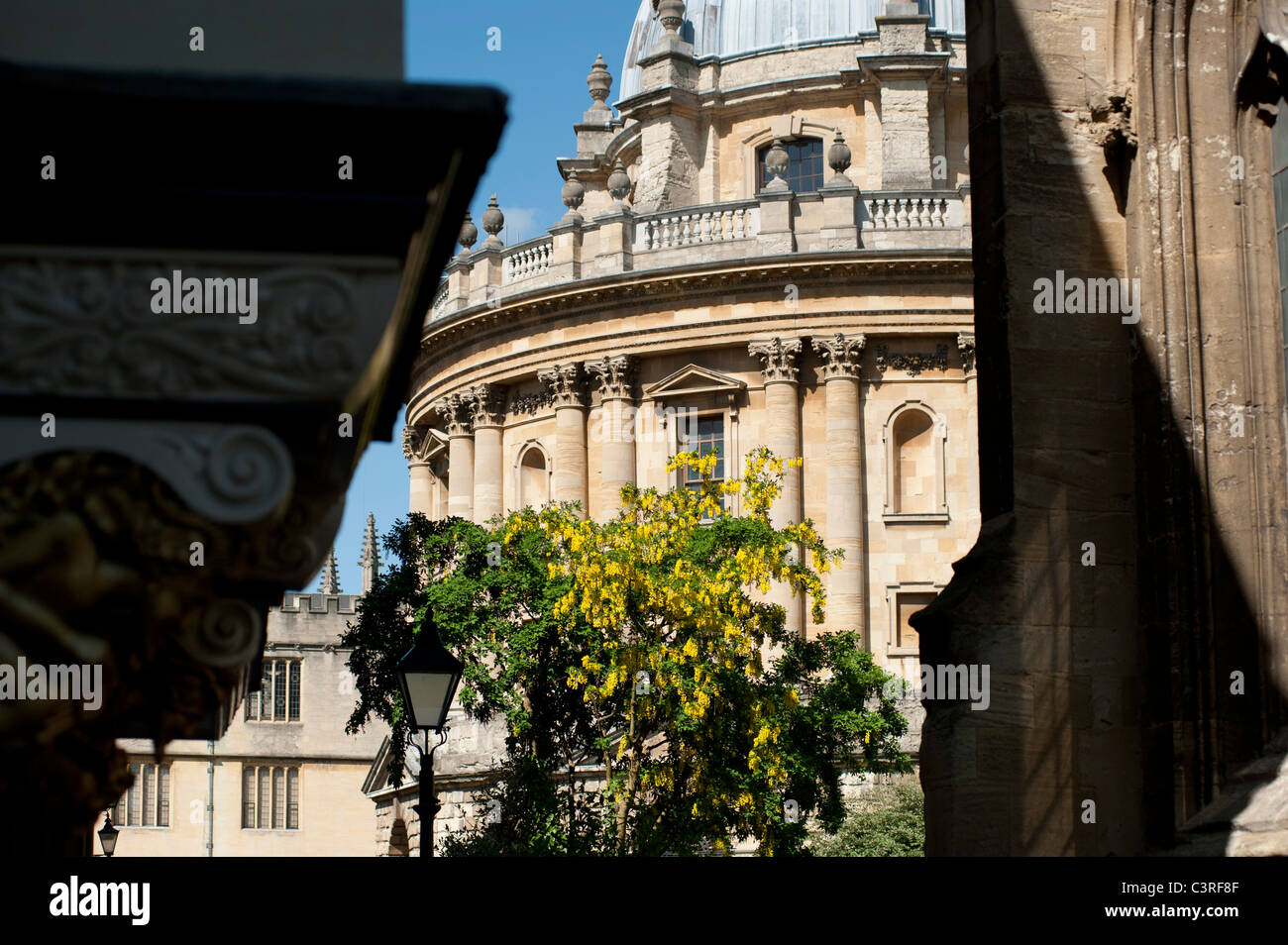 Le printemps à Oxford et l'Université semble grand dans les couleurs ici en Radcliffe Square Banque D'Images