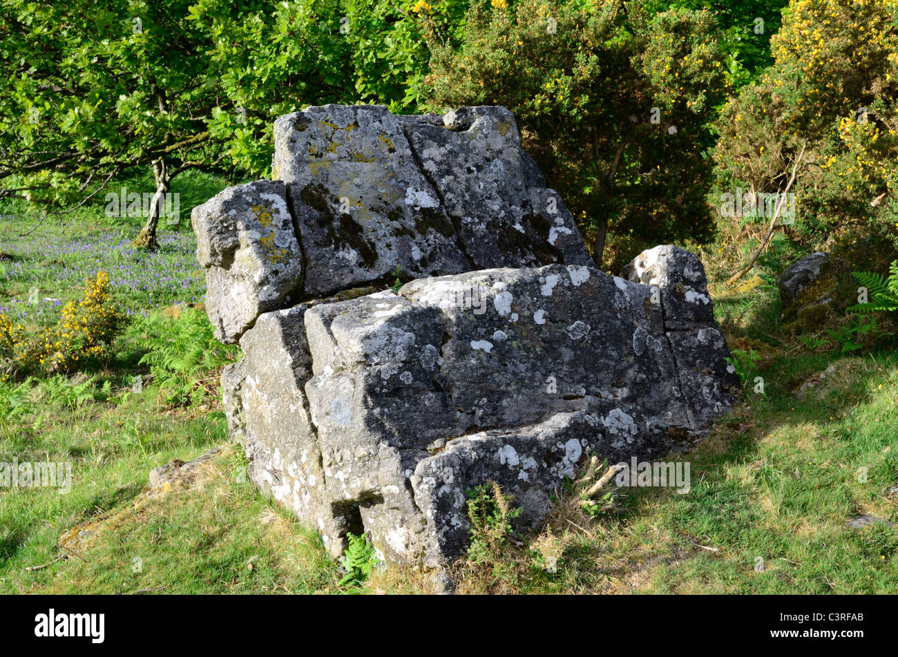 Un affleurement de granit naturel à Dartmoor, près de Okehampton, connu sous le nom de chaise romaine Banque D'Images
