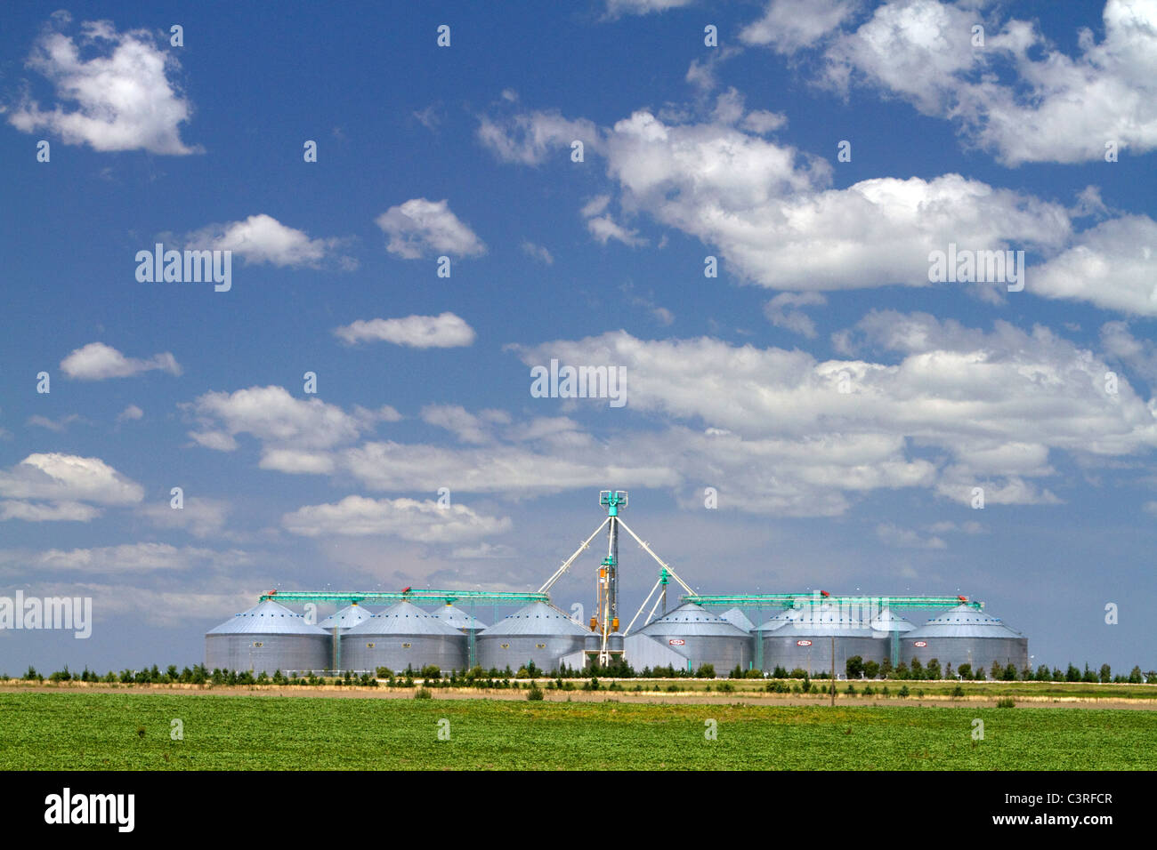 Les silos à grains et des terres agricoles sur les pampas de l'Argentine. Banque D'Images
