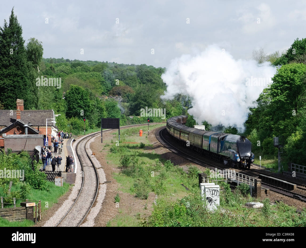 Le Butor ou Dominion de la Nouvelle-Zélande en passant par train à vapeur Station Dore à Sheffield Banque D'Images