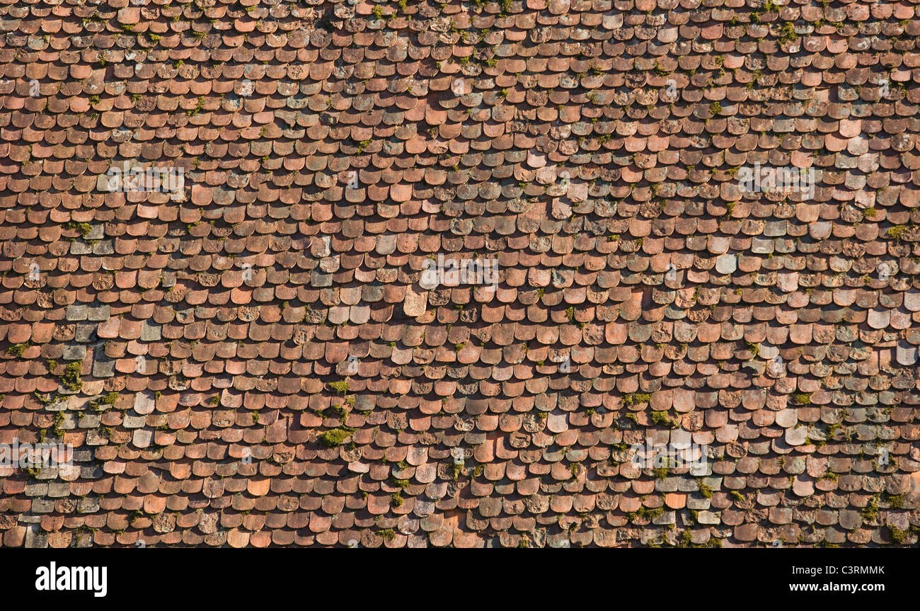 L'Autriche, Basse Autriche, Waldviertel, Zwettl, Zisterzienser stift zwettl, Vue du toit de tuiles farmhouse Banque D'Images