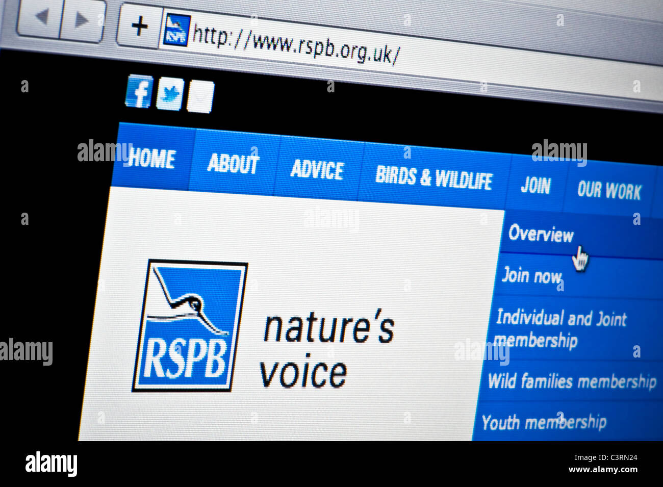 Close up de la RSPB logo tel que vu sur son site web. (Usage éditorial uniquement : -Print, télévision, e-book et le comité éditorial du site). Banque D'Images