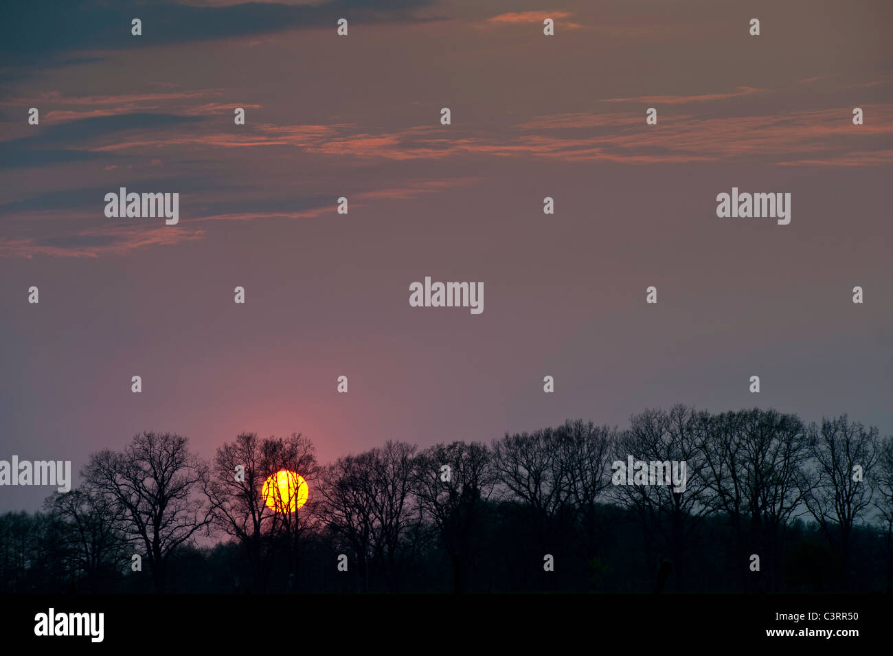 Au coucher du soleil, Région Warmia, Pologne Banque D'Images