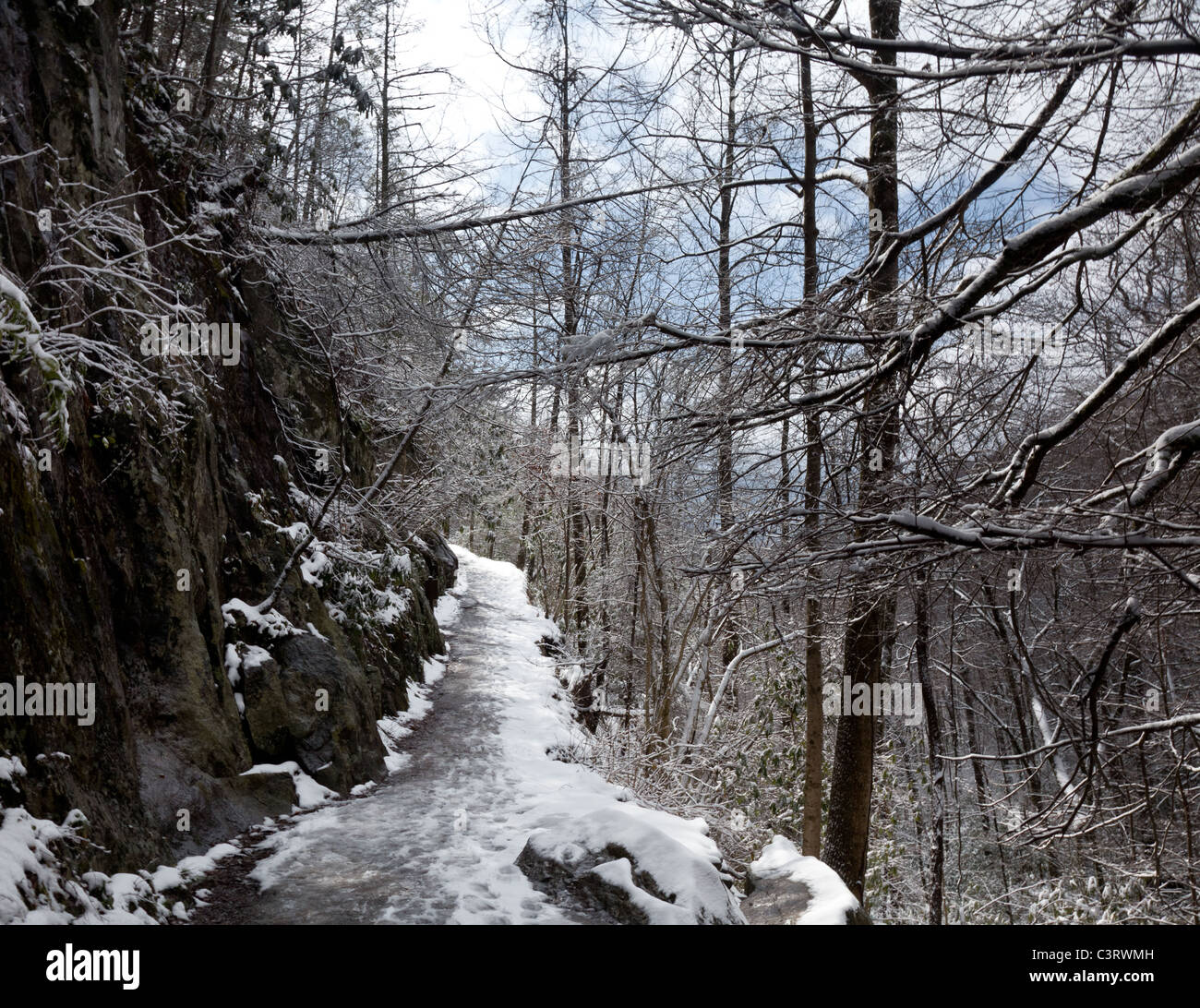 Randonnées un chemin couvert de neige dans les Smoky Mountains en hiver Banque D'Images