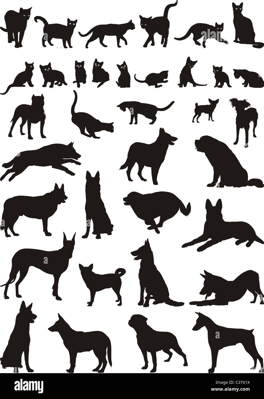 Chiens et chats Banque D'Images