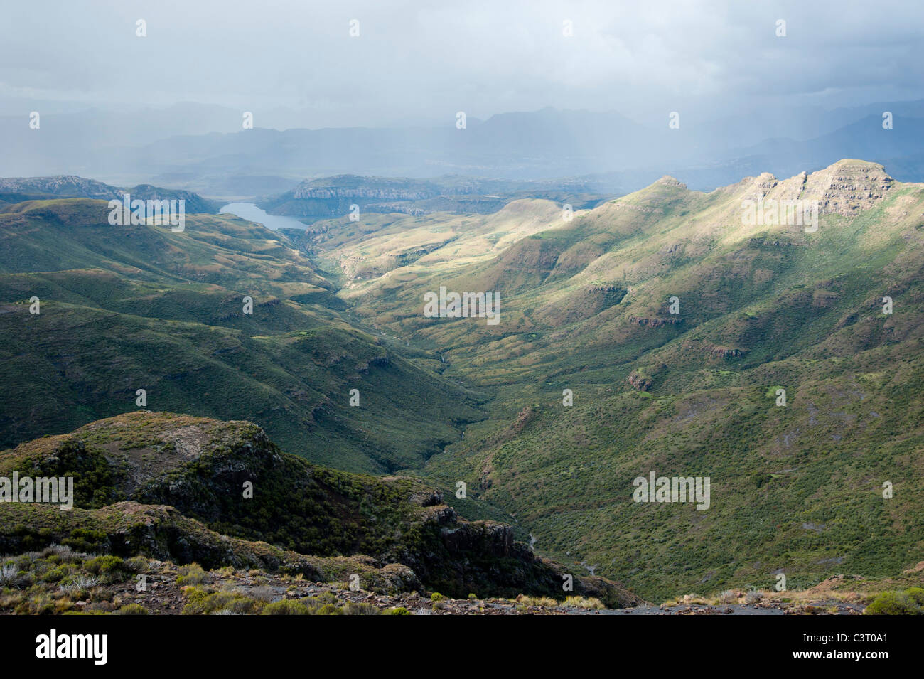 Witteberge Mountains, Afrique du Sud Banque D'Images