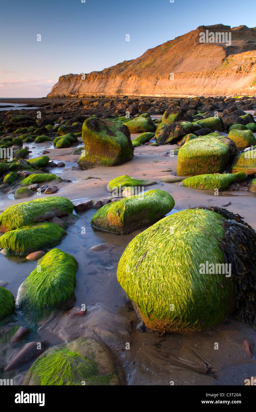 Runswick Bay Banque D'Images