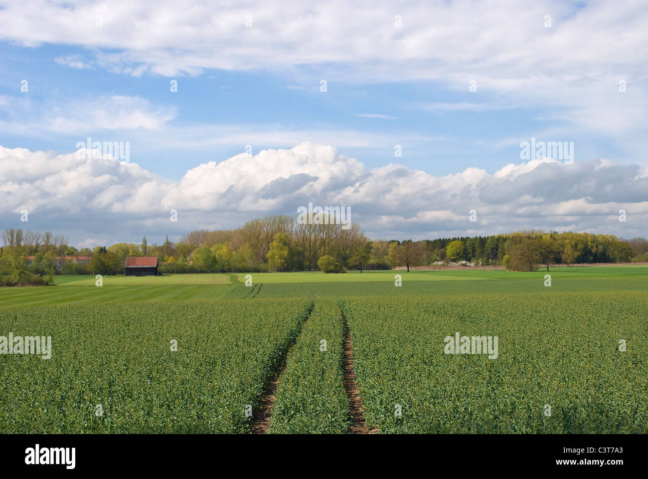 L'agriculture au printemps en Allemagne et de l'industrie agricole. Banque D'Images