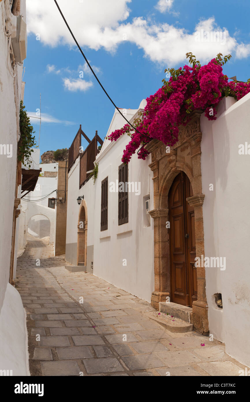 Bougainvillea suspendue au-dessus de porte dans rue étroite de l'Île Lindos Rhodes Grèce Banque D'Images