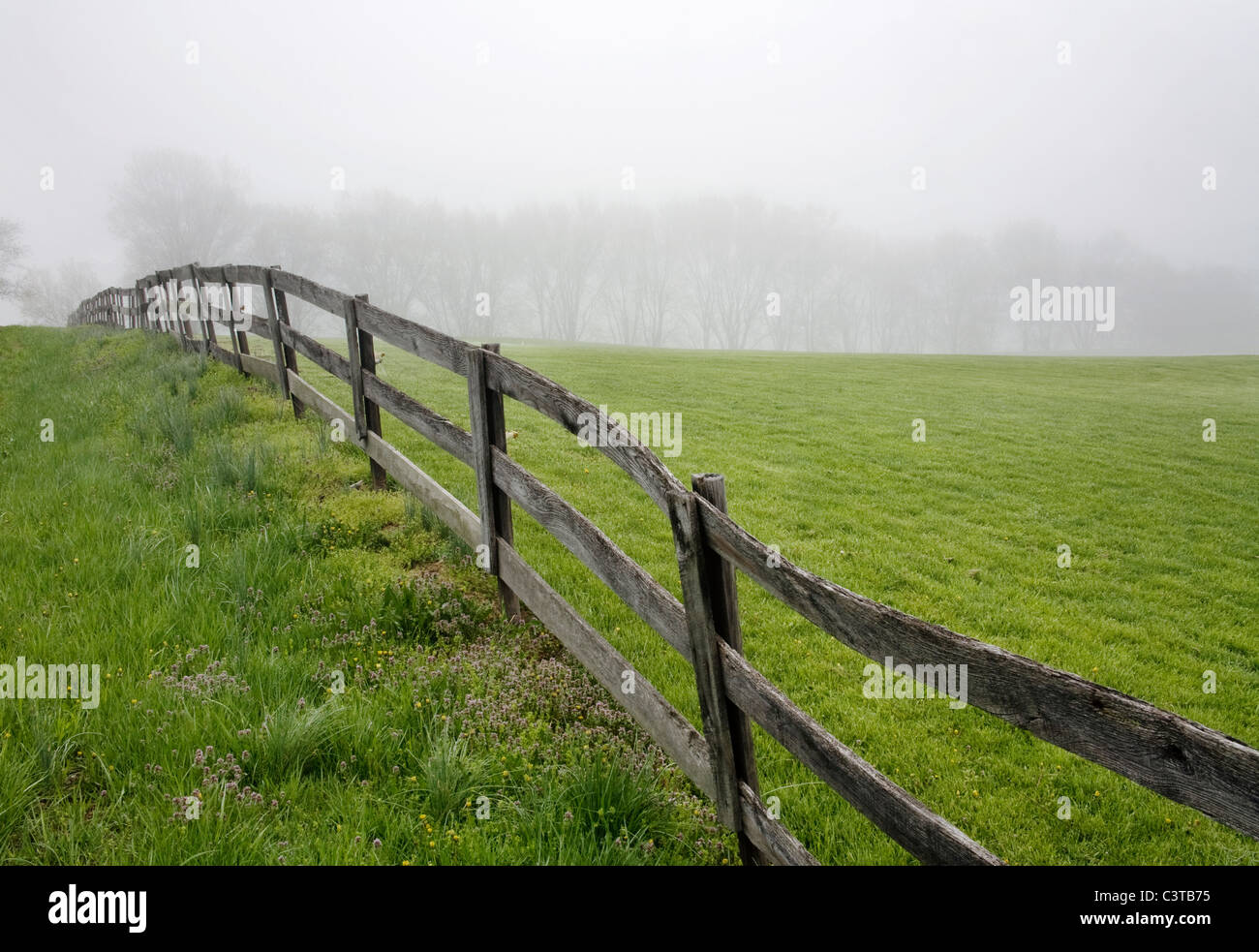 Une ligne de clôture, champ et le brouillard, une scène pastorale, le sud-ouest de l'Ohio, USA Banque D'Images