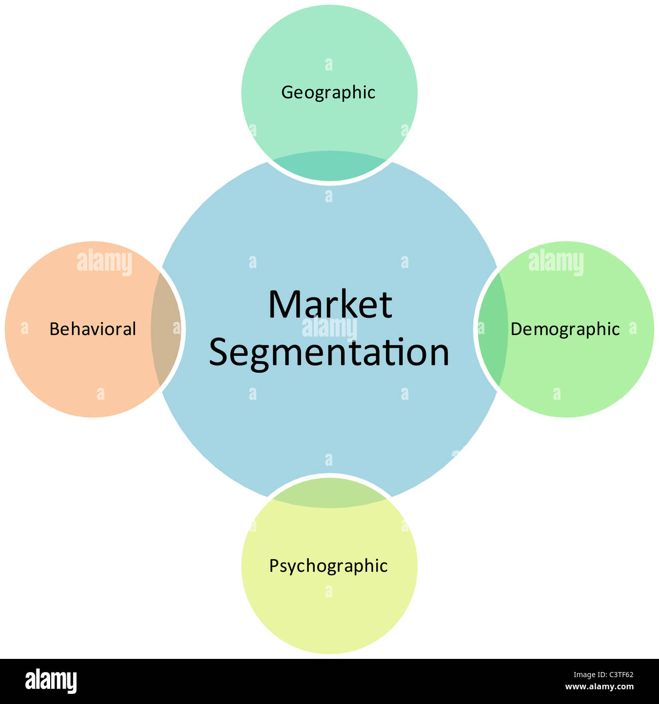Segmentation du marché de la stratégie de gestion de l'entreprise graphique diagramme concept illustration Banque D'Images