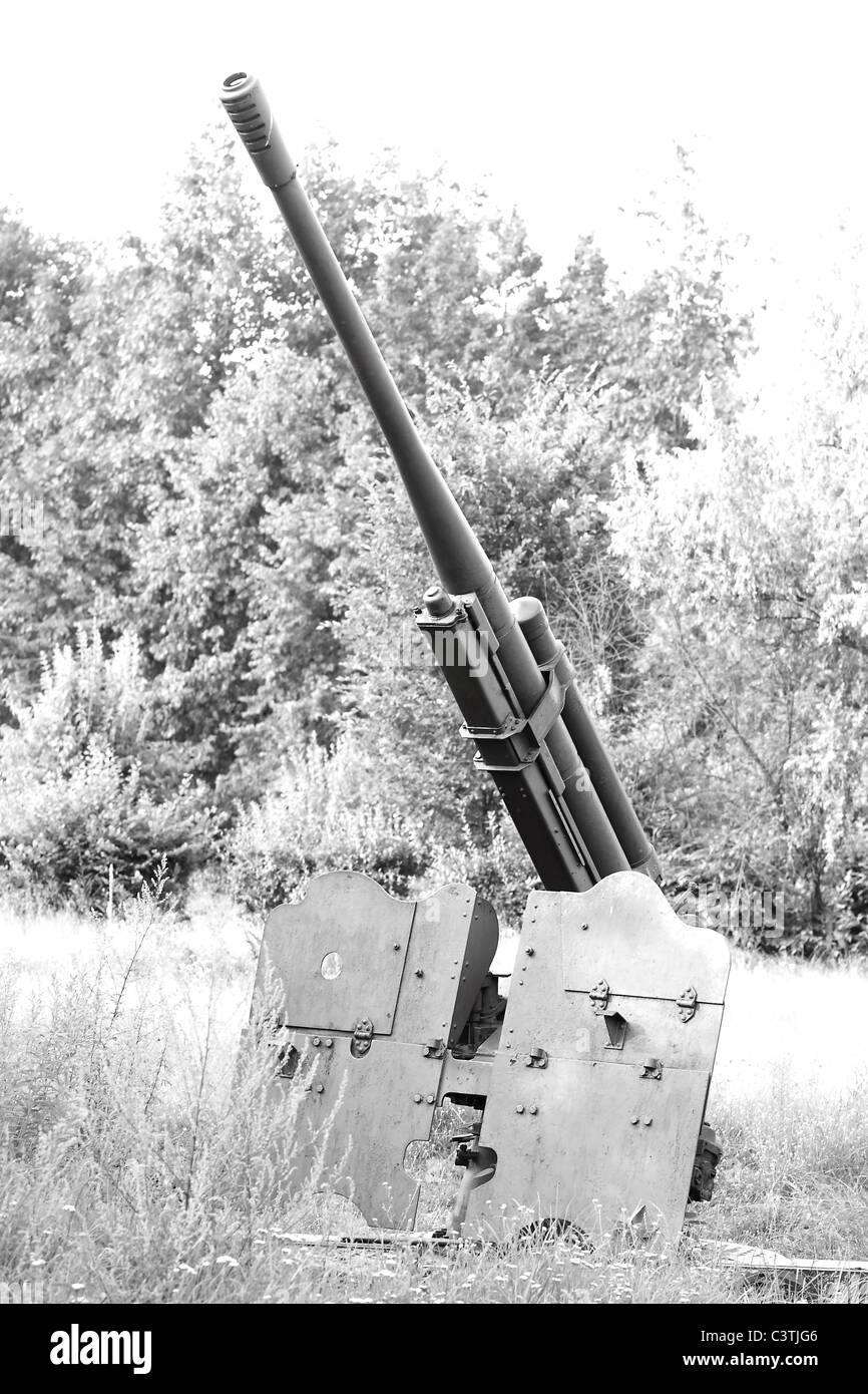 Old cannon - II Guerre mondiale Banque D'Images