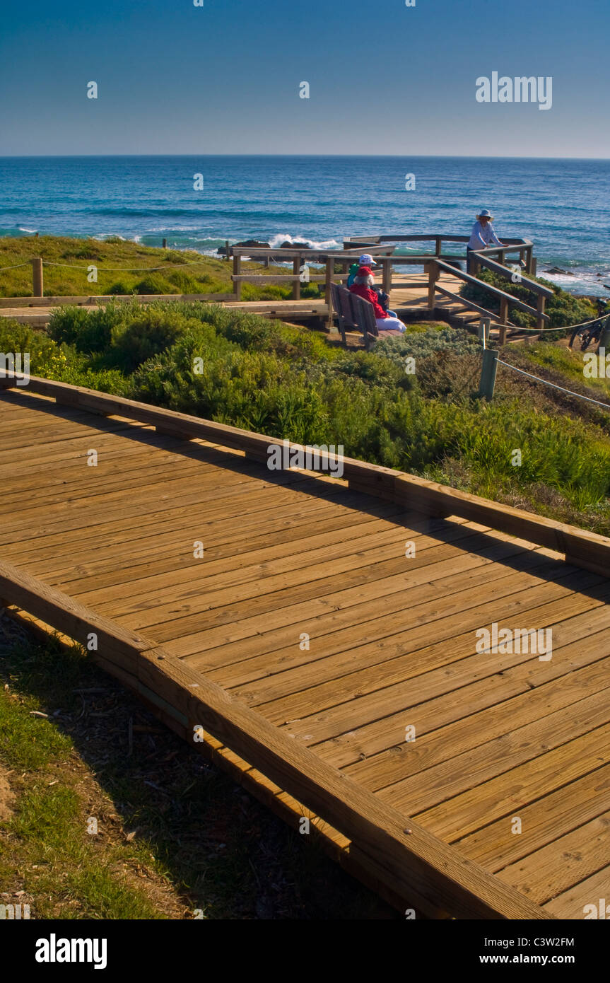 Promenade en bois le long des falaises côtières à Cambria, en Californie Banque D'Images