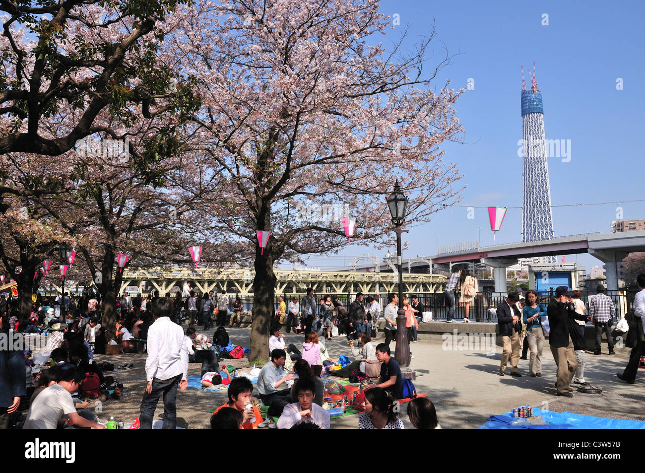 Parc Sumida à Tokyo Sky Tree en arrière-plan Banque D'Images
