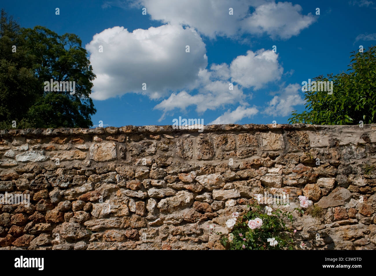 Ver-voiles, France, scènes de parc urbain, 'Parc Balbi', mur de pierre ancien avec nuages dans le ciel, printemps Banque D'Images