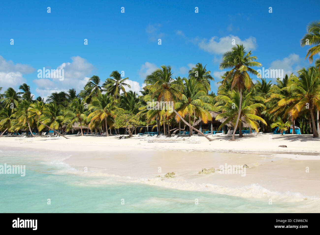 Palms littoral sur la mer des Caraïbes Banque D'Images