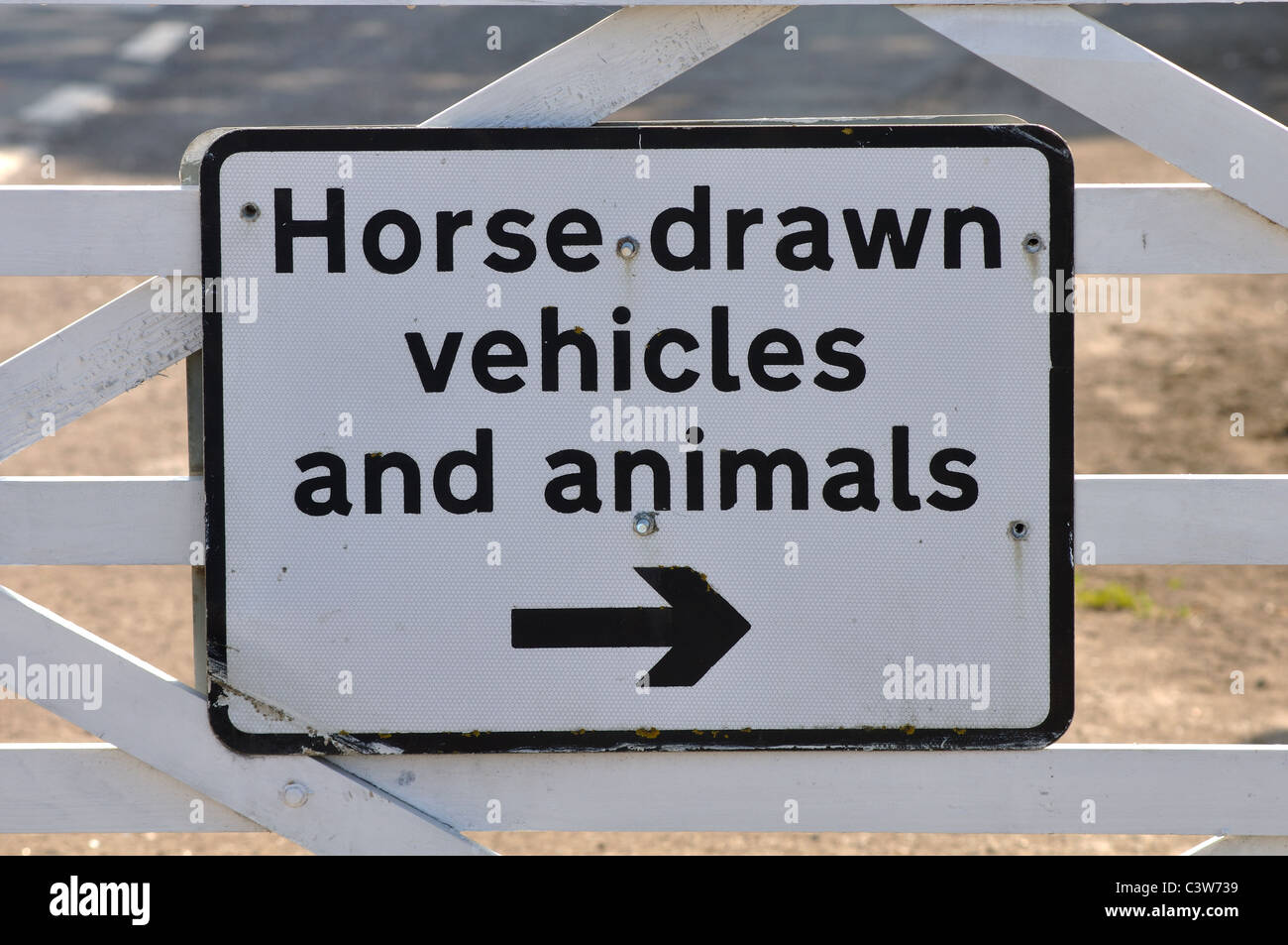 Inscrivez-vous à la grille du bétail, Minchinhampton Common, Gloucestershire, England, UK Banque D'Images