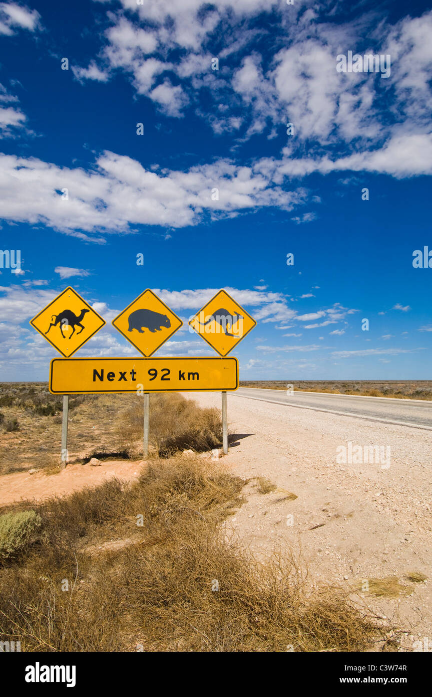 La signalisation routière sur l'Eyre Highway, plaine du Nullarbor, Australie du Sud. Banque D'Images