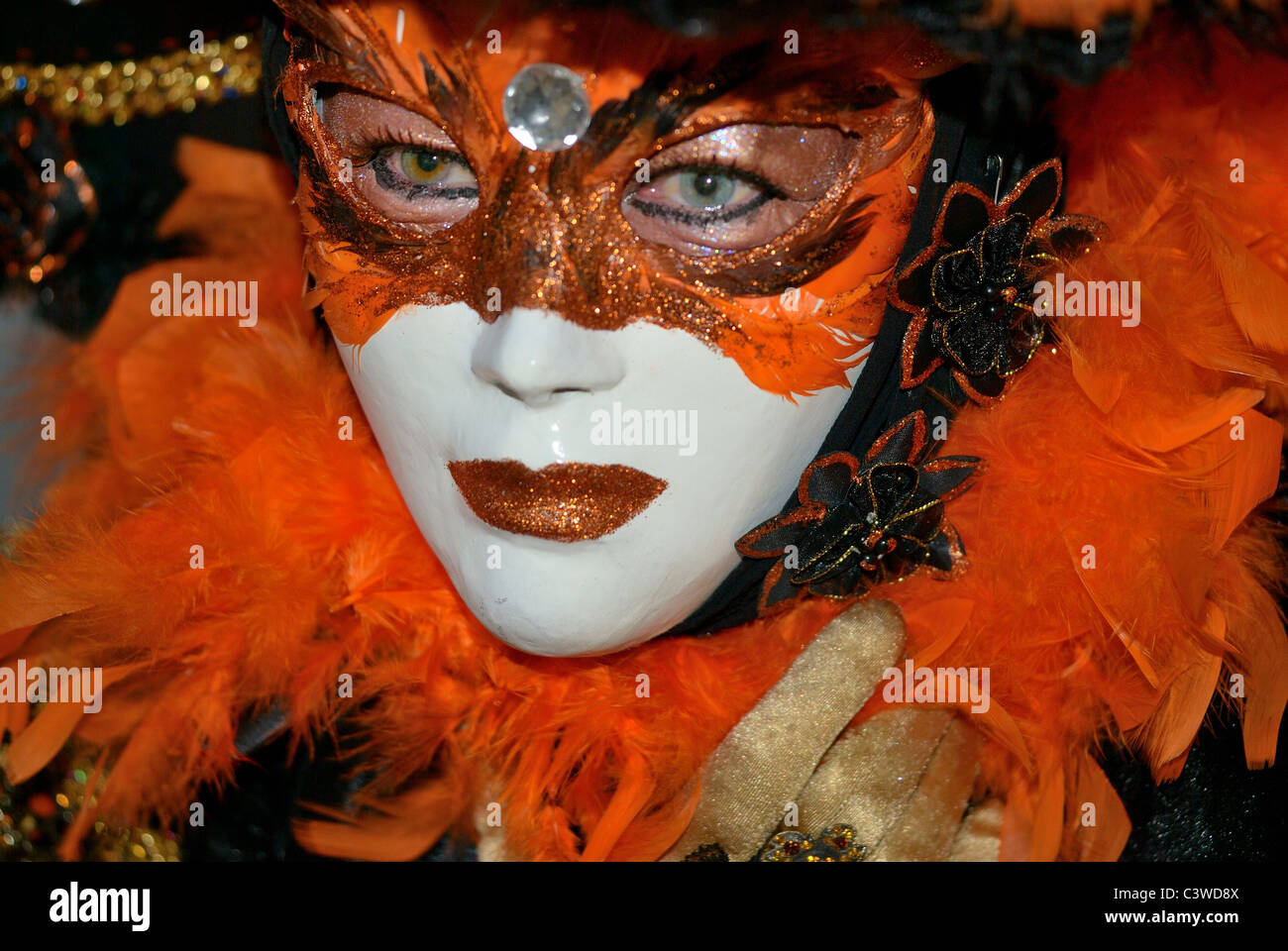 Masque de carnaval de Venise Banque D'Images