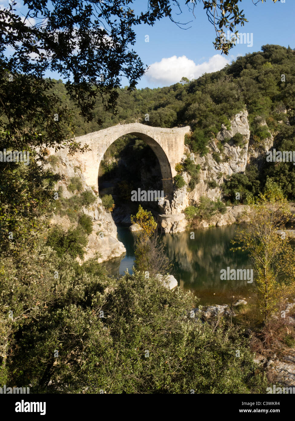 11e siècle Pont sur la rivière Llierca, Parc National de la Garrotxa, en Catalogne, Espagne. Banque D'Images