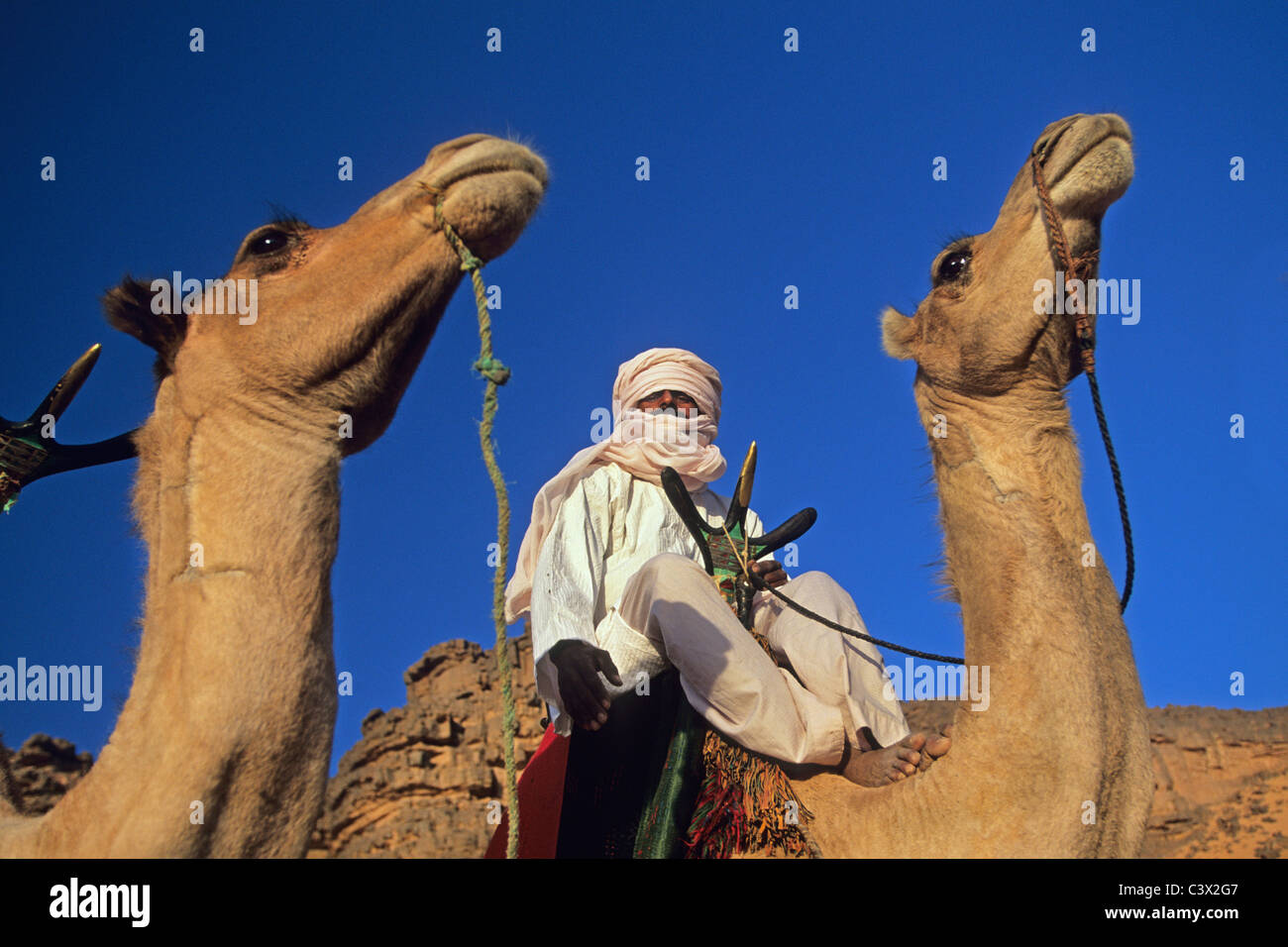 L'Algérie, Tamanrasset. L'homme de tribu touareg sur camel. Désert du Sahara. Banque D'Images