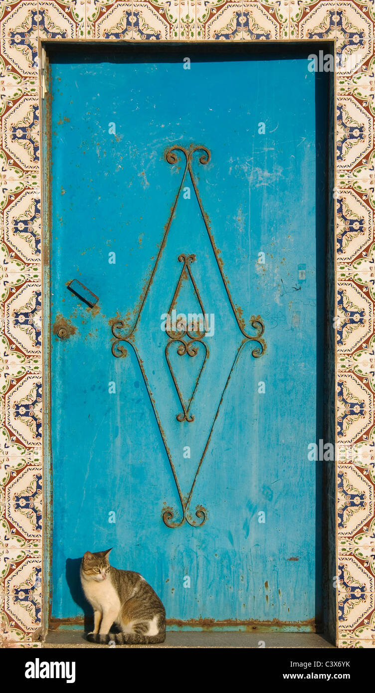 Chat assis en face de la porte généralement peintes en bleu et fraimed par céramiques réalisées dans la ville côtière de Sidi Ifni Banque D'Images