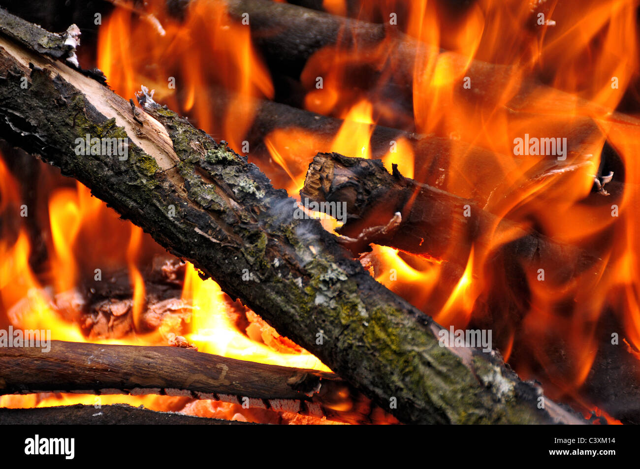 Close-up d'un feu avec des flammes Banque D'Images