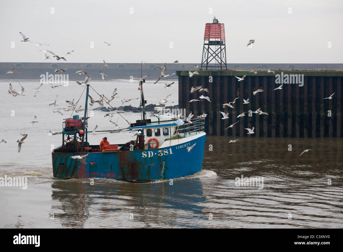 Un petit bateau de pêche sentiers qu'il mouettes retour à quai dans le poisson via la rivière Wear Sunderland Banque D'Images