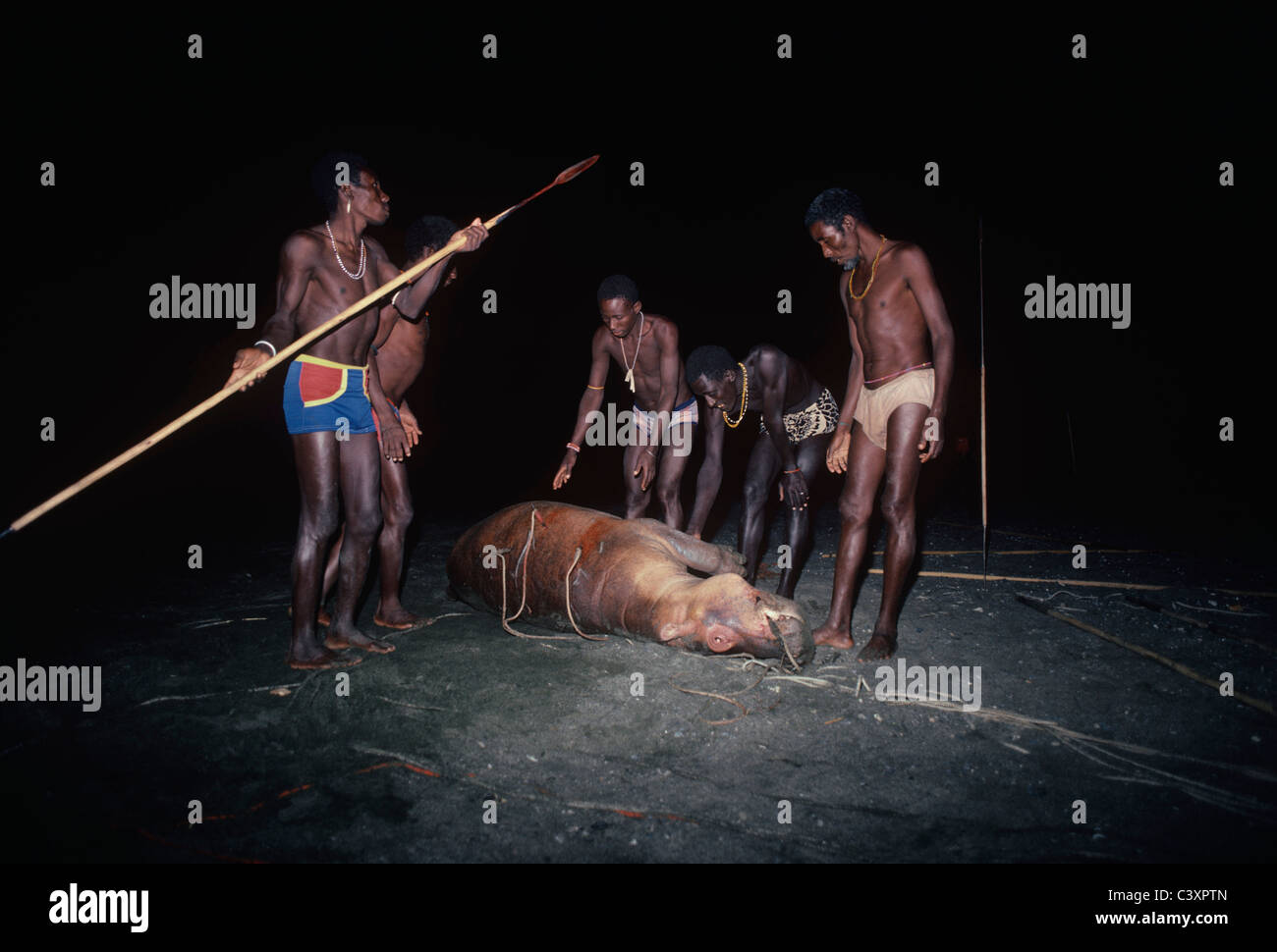 El Molo guerriers tirant le pole spears d'un hippopotame mort de leur chasse. - Le lac Turkana au Kenya. Banque D'Images