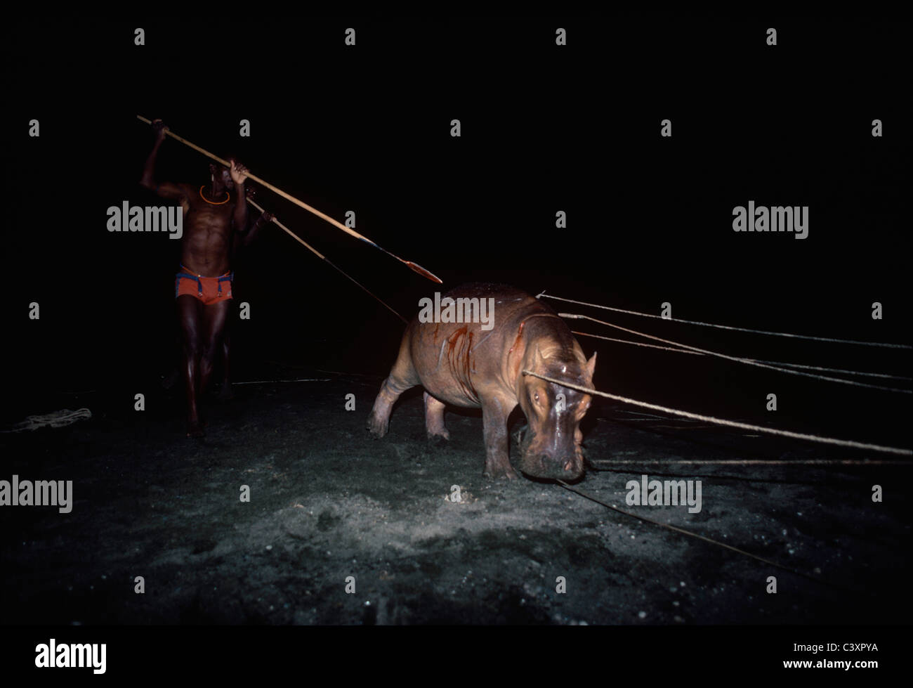 El Molo Warriors poignardant un hippopotame pendant une chasse. - Le lac Turkana au Kenya. Banque D'Images