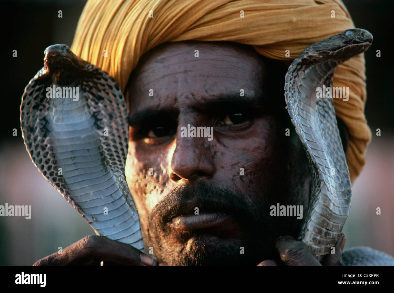 Charmeur de serpent avec deux cobras indiens. Jaipur - Inde Banque D'Images