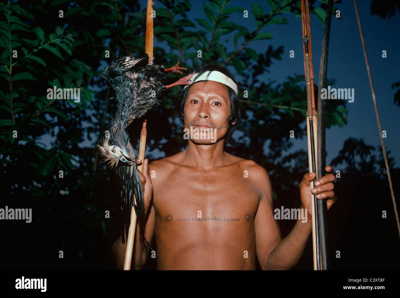 Matses tribesman avec un canard (piping guan) de l'amazone tué avec son arc et flèche. Matses indiens. Amazon, le Pérou. Banque D'Images