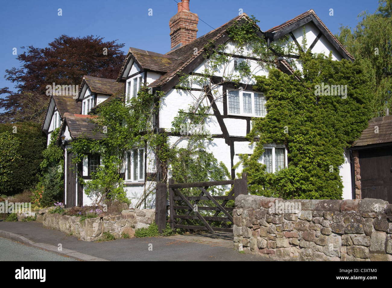 Le Shropshire England UK typiques noir et blanc chalet à colombages avec des roses autour de la porte Banque D'Images