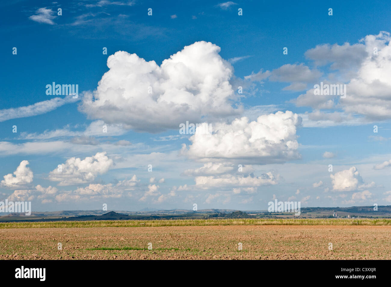 Paysage avec Ciel et nuages Orange Free State Afrique du Sud Banque D'Images